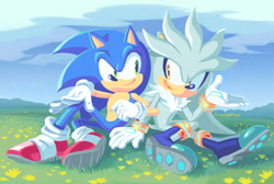 Size: 2048x1378 | Tagged: safe, artist:siggiedraws, silver the hedgehog, sonic the hedgehog, abstract background, clouds, duo, flower, gay, grass, lineless, linking arms, looking at each other, mouth open, outdoors, shipping, signature, sitting, smile, sonilver