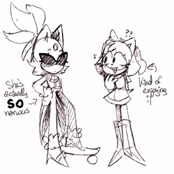 Size: 2048x2048 | Tagged: safe, artist:head---ache, amy rose, blaze the cat, cat, hedgehog, 2023, amy x blaze, amy's halterneck dress, blaze's tailcoat, cute, english text, female, females only, lesbian, looking at them, shipping, skateboard, sketch, sunglasses