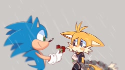 Size: 1280x720 | Tagged: safe, artist:giaoux, miles "tails" prower, nine, sonic the hedgehog, sonic prime, 2024, blushing, duo, floppy ears, flower, gay, holding something, looking at each other, nine x sonic, rain, rose, sad, shipping, smile, sonic x tails, standing