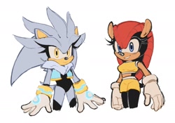Size: 2048x1436 | Tagged: safe, artist:qkora01, mighty the armadillo, silver the hedgehog, 2024, duo, gender swap, simple background, standing, white background