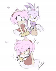 Size: 1516x1929 | Tagged: safe, artist:softyleonita, amy rose, blaze the cat, cat, hedgehog, 2022, amy x blaze, amy's halterneck dress, bag, blaze's tailcoat, blushing, cute, eyes closed, female, females only, lesbian, looking at each other, shipping, sparkles
