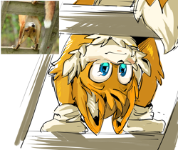 Size: 2048x1723 | Tagged: safe, artist:kefi-catfish, miles "tails" prower, ladder, looking offscreen, redraw, reference inset, simple background, smile, solo, upside down, white background
