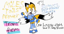 Size: 2048x1086 | Tagged: safe, artist:somebodystolemybread, miles "tails" prower, 2024, alternate outfit, alternate universe, blue shoes, character name, clothes, cute, english text, eyelashes, fingerless gloves, flat colors, gloves, looking offscreen, mouth open, pride flag, shirt, shorts, simple background, smile, solo, stockings, tailabetes, trans pride, transgender, white background