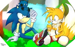 Size: 1024x640 | Tagged: safe, miles "tails" prower, sonic the hedgehog, chao, fox, hedgehog, blue eyes, blue fur, gloves, green eyes, male, orange fur, shoes, socks