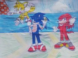 Size: 1024x768 | Tagged: dnp, safe, artist:theoneandonlycactus, knuckles the echidna, miles "tails" prower, sonic the hedgehog, traditional media