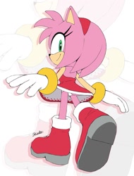 Size: 1013x1333 | Tagged: safe, artist:secretter_zgwl, amy rose, amy's halterneck dress, echo background, looking at viewer, looking back, looking back at viewer, panties, signature, smile, solo, upskirt