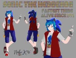 Size: 1278x975 | Tagged: safe, artist:petite-neko-kitsune, sonic the hedgehog, human, humanized, mmd, partially humanized