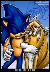 Size: 444x640 | Tagged: safe, artist:funkyalien, miles "tails" prower, sonic the hedgehog, 2005, abstract background, border, clenched teeth, duo, echo background, english text, eyes closed, hand on hip, headpats, outline, petting, signature, smile, sonic advance 3, standing, unbreakable bond