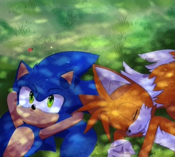 Size: 1200x1080 | Tagged: safe, artist:ferliane, miles "tails" prower, sonic the hedgehog, 2023, daytime, duo, eyes closed, grass, looking up, lying down, lying on side, outdoors, shadow (lighting), sleeping, smile