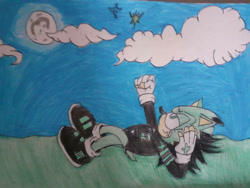 Size: 1032x774 | Tagged: safe, artist:theoneandonlycactus, oc, oc:cactus the hedgehog, hedgehog, fingerless gloves, gloves, green eyes, green fur, jacket, male, shoes, socks, traditional media