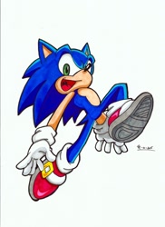 Size: 1516x2080 | Tagged: safe, artist:star-rocket, sonic the hedgehog