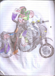 Size: 400x550 | Tagged: safe, artist:thunder-the-mouse, oc, oc:thunder dark the hedgemouse, motorcycle, traditional media