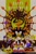 Size: 667x1000 | Tagged: safe, artist:noterkgk, e-123 omega, maria robotnik, metal sonic, shadow the hedgehog, sonic the hedgehog, super sonic, doom morph, group, halloween, happy halloween, super form, text