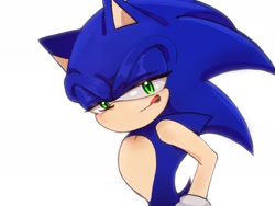 Size: 2048x1536 | Tagged: safe, artist:tamjeong_sonic, sonic the hedgehog, licking lips, lidded eyes, looking at viewer, simple background, solo, white background