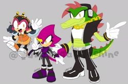 Size: 2048x1344 | Tagged: safe, artist:yuzusodamachine, charmy bee, espio the chameleon, vector the crocodile, 2024, gender swap, grey background, simple background, team chaotix, trio