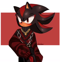 Size: 1988x2048 | Tagged: safe, artist:tamjeong_sonic, shadow the hedgehog, character name, gloves off, necklace, solo, sweater