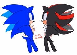 Size: 2048x1475 | Tagged: safe, artist:tamjeong_sonic, shadow the hedgehog, sonic the hedgehog, arrow, duo, korean text