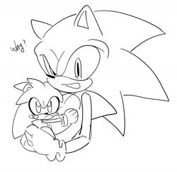 Size: 1967x1911 | Tagged: safe, artist:tamjeong_sonic, silver the hedgehog, sonic the hedgehog, aged down, child, duo, greyscale, holding them, monochrome