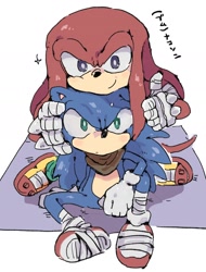 Size: 1306x1716 | Tagged: safe, artist:oomikami_mimiko, knuckles the echidna, sonic the hedgehog, duo, hand on another's head, japanese text, simple background, sitting, smile, sonic boom (tv), white background