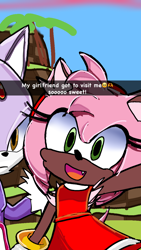 Size: 720x1280 | Tagged: safe, artist:shanelbronysonicfan, amy rose, blaze the cat, green hill zone, 2024, abstract background, amy x blaze, caption, dark skin, duo, english text, lesbian, one fang, palm tree, selfie, shipping, smile