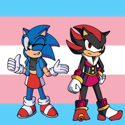 Size: 2000x2000 | Tagged: safe, artist:amf-studios, shadow the hedgehog, sonic the hedgehog, 2024, abstract background, clothes, duo, frown, pride, pride flag, pride flag background, smile, standing, trans female, trans girl shadow, trans girl sonic, trans pride, transgender