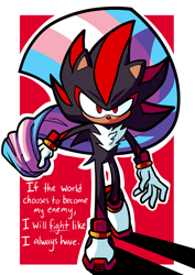 Size: 2048x2896 | Tagged: safe, artist:panipancakes, shadow the hedgehog, 2024, abstract background, border, dialogue, english text, flag, holding something, outline, positivity, pride, pride flag, shadow (lighting), solo, trans pride