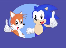 Size: 3072x2276 | Tagged: safe, artist:sophiebyers, miles "tails" prower, sonic the hedgehog, adventures of sonic the hedgehog, 2024, classic sonic, classic style, classic tails, double thumbs up, duo, flat colors, looking at viewer, mouth open, redraw, smile, style emulation, thumbs up