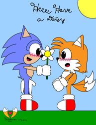 Size: 2550x3300 | Tagged: safe, artist:fennecfoxee, miles "tails" prower, sonic the hedgehog, 2013, abstract background, blushing, classic sonic, classic tails, daytime, duo, english text, flat colors, flower, gay, holding something, looking at each other, mouth open, offering flower, outdoors, shipping, signature, smile, sonic x tails, standing, sun, sunflower