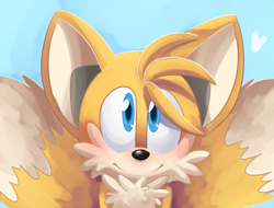 Size: 887x674 | Tagged: safe, artist:sp-rings, miles "tails" prower, blue background, blushing, heart, lineless, looking at viewer, simple background, smile, solo