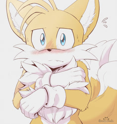 Size: 950x1005 | Tagged: safe, artist:s2-freak, miles "tails" prower, 2022, blushing, chest fluff, covering, ear fluff, embarrassed, fluffy, frown, grey background, looking at viewer, one fang, signature, simple background, solo, standing, sweatdrop