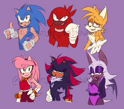 Size: 2048x1792 | Tagged: safe, artist:honestlynotgonnalie, amy rose, knuckles the echidna, miles "tails" prower, rouge the bat, shadow the hedgehog, sonic the hedgehog, comic:now what?, 2024, chipped ear, fingerless gloves, frown, group, hand on hip, lidded eyes, looking at viewer, looking offscreen, obtrusive watermark, purple background, redesign, signature, simple background, smile, standing, sweatdrop, thumbs up, watermark