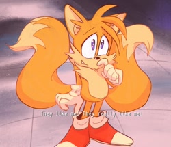 Size: 1024x882 | Tagged: safe, artist:halpdevon, miles "tails" prower, 2019, english text, redraw, solo, sonic x, standing