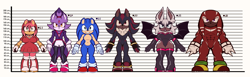 Size: 6697x2051 | Tagged: safe, artist:schnoodle, amy rose, blaze the cat, knuckles the echidna, rouge the bat, shadow the hedgehog, sonic the hedgehog