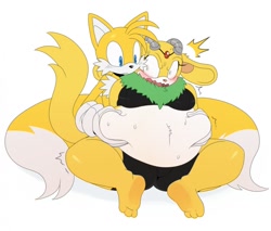 Size: 1201x1024 | Tagged: suggestive, artist:ss2sonic, miles "tails" prower, thunderbolt the chinchilla, angry, blushing, chubby, duo, fat fetish, female, fetish, male, simple background