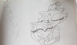 Size: 1280x749 | Tagged: safe, artist:nighty-night-nh, amy rose, blaze the cat, cat, hedgehog, 2018, amy x blaze, cute, eyes closed, female, females only, hugging, lesbian, line art, shipping, sketch, smile, traditional media