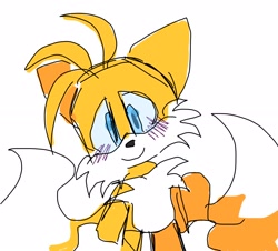 Size: 2048x1848 | Tagged: safe, artist:wsipies, miles "tails" prower, 2024, blushing, looking at viewer, simple background, sketch, smile, solo, standing, white background