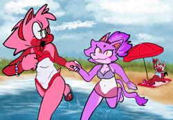 Size: 2048x1423 | Tagged: safe, artist:jane-trademark, amy rose, blaze the cat, rouge the bat, bat, cat, hedgehog, 2023, amy x blaze, beach, cute, female, females only, holding hands, lesbian, sandals, shipping, sunglasses, swimsuit