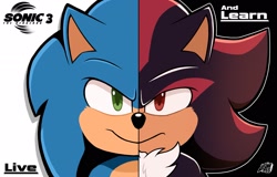 Size: 2048x1314 | Tagged: safe, artist:lorenzofrederi9, shadow the hedgehog, sonic the hedgehog, hedgehog, sonic the hedgehog 3 (film), duo, duo male, frown, live and learn, looking at viewer, male, males only, outline, smile, two sides