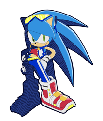 Size: 3247x3810 | Tagged: safe, artist:k3llywolfarts, oc, oc:kelly the hedgehog, hedgehog, 2024, clothes, gender swap, hands on hips, looking at viewer, riders style, simple background, smile, solo, sonic riders, standing, sunglasses, transparent background