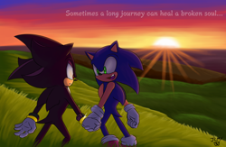 Size: 3000x1953 | Tagged: safe, artist:shimecm, shadow the hedgehog, sonic the hedgehog, 2019, abstract background, duo, english text, gay, grass, looking at each other, outdoors, shadow x sonic, shipping, standing, sunset, walking