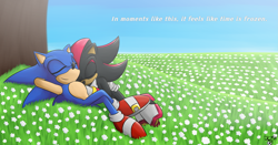 Size: 2849x1488 | Tagged: safe, artist:shimecm, shadow the hedgehog, sonic the hedgehog, 2020, abstract background, daytime, duo, english text, eyes closed, field, flower, gay, grass, holding them, lying down, lying on side, shadow x sonic, shipping, signature, sleeping, smile, tree