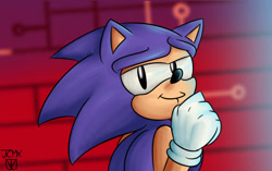 Size: 1024x644 | Tagged: safe, artist:shimecm, sonic the hedgehog, sonic mania adventures, 2020, abstract background, classic sonic, faic, lidded eyes, looking back at viewer, redraw, redraw challenge, signature, smug