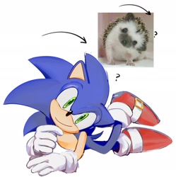 Size: 1908x1912 | Tagged: safe, artist:chaosrice, sonic the hedgehog, 2023, head tilt, lying down, lying on front, question mark, reference inset, simple background, smile, solo, white background