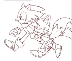 Size: 720x601 | Tagged: safe, artist:giaoux, miles "tails" prower, sonic the hedgehog, 2023, blushing, duo, line art, looking ahead, scarf, simple background, smile, walking, white background