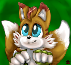 Size: 2010x1833 | Tagged: safe, artist:koda83, mangey, miles "tails" prower, sonic prime, 2023, cute, looking offscreen, signature, smile, solo