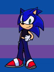 Size: 768x1024 | Tagged: safe, artist:boltdoubltt, sonic the hedgehog, 2023, binder, clothes, looking at viewer, pants, pride, pride flag, pride flag background, smile, solo, standing, trans male, trans pride, transgender