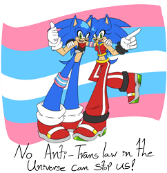 Size: 5800x6000 | Tagged: safe, artist:ace-the-artist, sonic the hedgehog, arm around shoulders, bandana, binder, clothes, crop jacket, dialogue, duo, english text, looking at viewer, mouth open, pants, pointing, pride, pride flag, pride flag background, self paradox, semi-transparent background, smile, standing, trans female, trans male, trans pride