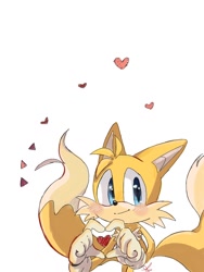 Size: 768x1024 | Tagged: safe, artist:giaoux, miles "tails" prower, 2024, blushing, heart, heart hands, looking at viewer, signature, simple background, smile, solo, standing, white background