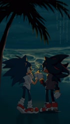 Size: 1152x2048 | Tagged: safe, artist:zeeowo_, shadow the hedgehog, sonic the hedgehog, 2024, beach, clothes, duo, gay, holding something, jacket, looking at each other, new years, nighttime, outdoors, palm tree, shadow x sonic, shipping, shirt, smile, sparkler, standing
