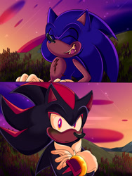 Size: 1500x1998 | Tagged: safe, artist:transmascsonicthehedgehog, shadow the hedgehog, sonic the hedgehog, abstract background, arms folded, duo, gay, grass, looking at them, outdoors, shadow x sonic, shipping, smile, standing, sunset, top surgery scars, trans male, transgender